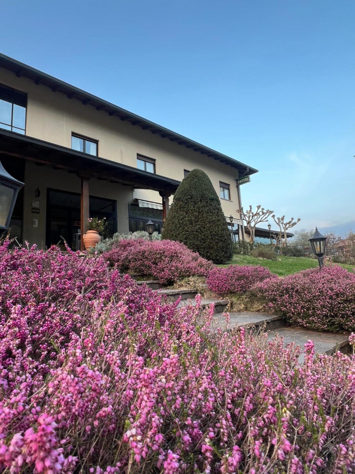 Hotel Merloni Grandola ed Uniti Exterior photo